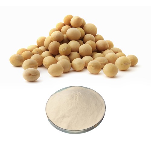 High Quality China Small Molecule Soybean Protein Peptide  Powder with Halal Kosher Certified