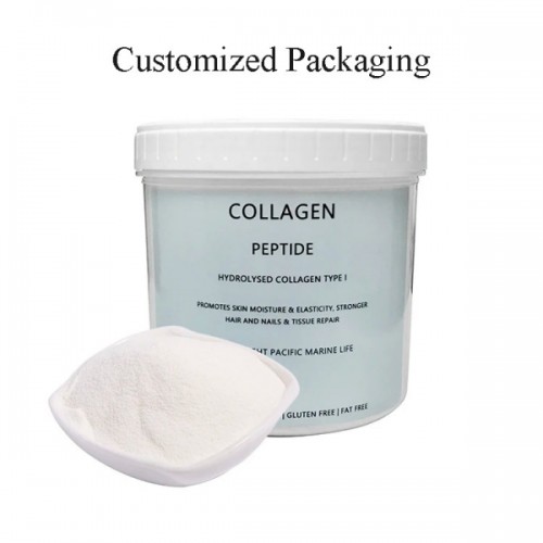China Elastin Peptide Supplement Collagen Peptide Powder for Skincare