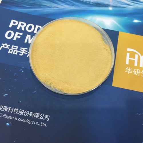 OEM/ODM herbal extract walnut peptide plant vegan collagen walnut extract powder for body building