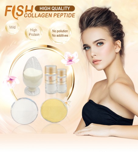 Factory price fish collagen fish scale powder collagen peptide 500 dal for beauty&anti-aging