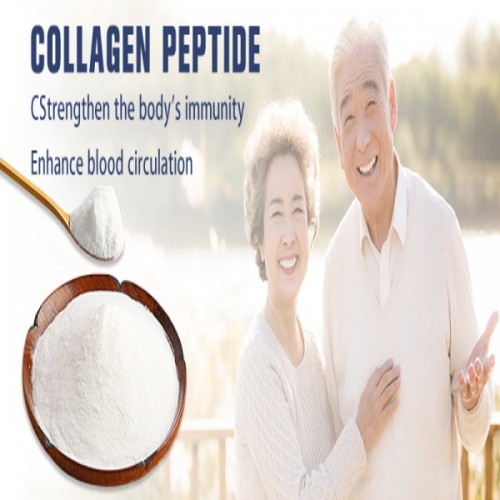Wholesale Collagen Tripeptide Manufacturers Food Grade Peptides Powder