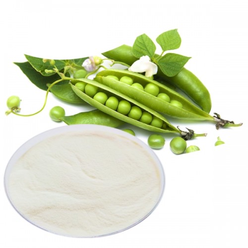 Wholesale Pea Peptide Manufacturer Vegan Collagen for Hair&Skin Care