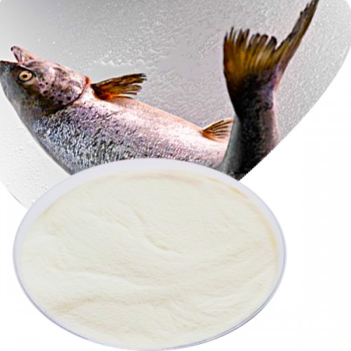 Healthcare Supplement Fish Collagen Peptide Powder Food Grade for Beauty