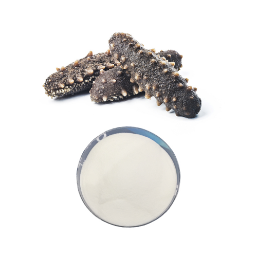 Competitive Price Sea Cucumber Powder Natural Animal Extract Sea Cucumber peptide