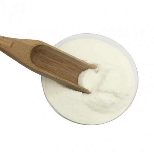 wholesale Bulk Skin Whitening Marine Collagen Fish Collagen Halal for Dietary Supplement
