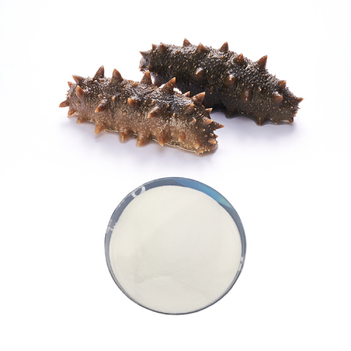 Hot Selling Sea Cucumber Peptide Supplier Pure Sea Cucumber Extract Powder for Improving Immune