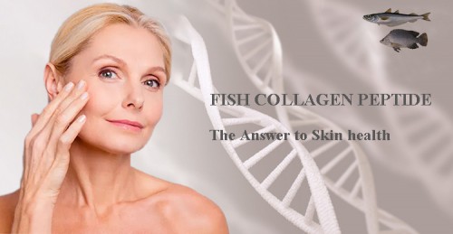 Bulk Raw Material Marine Collagen Protein Powder Anti-Wrinkle Collagen Peptide Fish