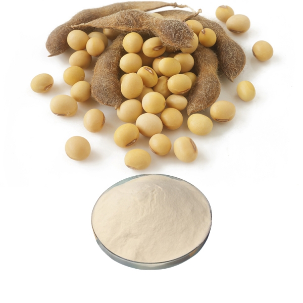 Is soy protein isolate good for you?