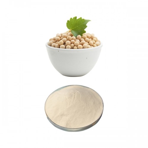Wholesale soy dietary fiber powder for food additives