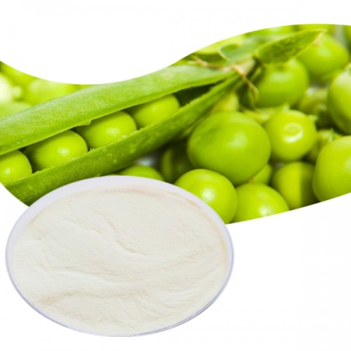 China Pea Peptide Manufacturer Plant Extract Halal Collagen Peptide