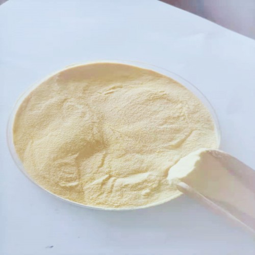 Plant Derived Walnut Peptide Protein Powder Extract for OEM Health Supplement