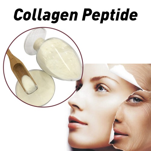 Low price for Collagen Powder Private Label Hydrolyzed Bovine Collagen Powder Beef Collagen Peptide for Skin Care&Beauty Products