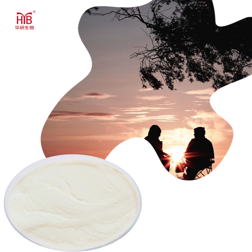 Free Sample Oyster Shell Powder Oyster Collagen Peptides for Healthcare Supplement