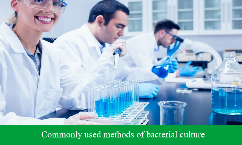 Commonly used methods of bacterial culture