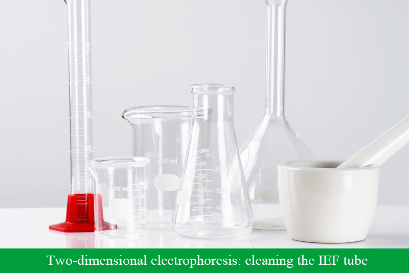 Two-dimensional electrophoresis: cleaning the IEF tube