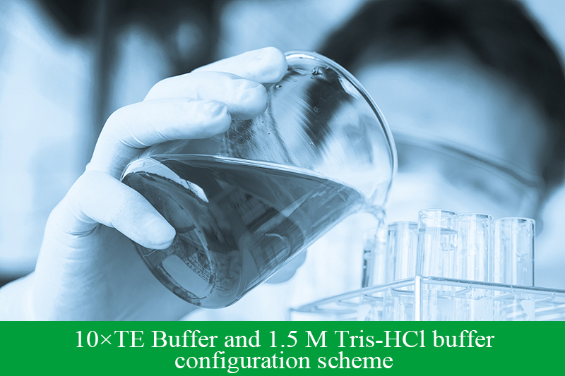 10×TE Buffer and 1.5 M Tris-HCl buffer configuration scheme