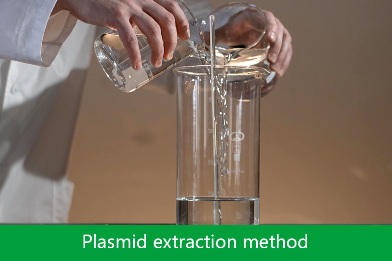 Plasmid extraction method
