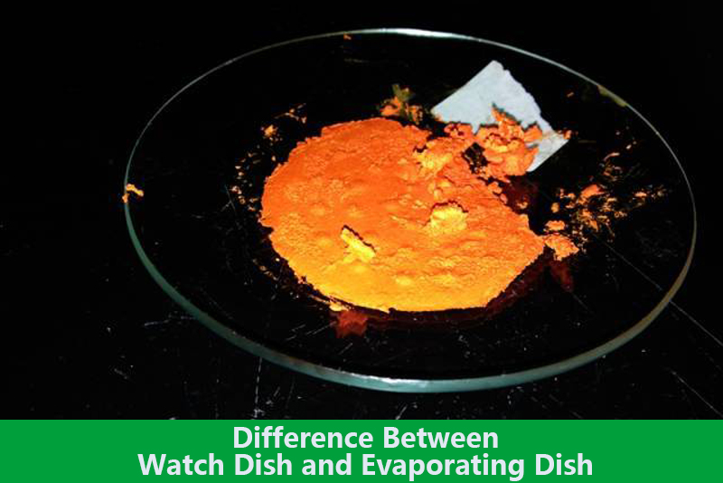 Difference Between Watch Dish and Evaporating Dish