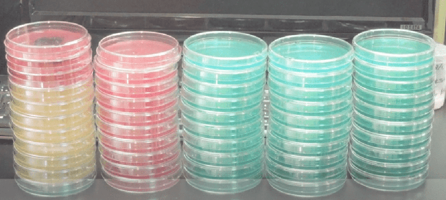 How should we sterilize and handle plastic agar plates and petri dishes