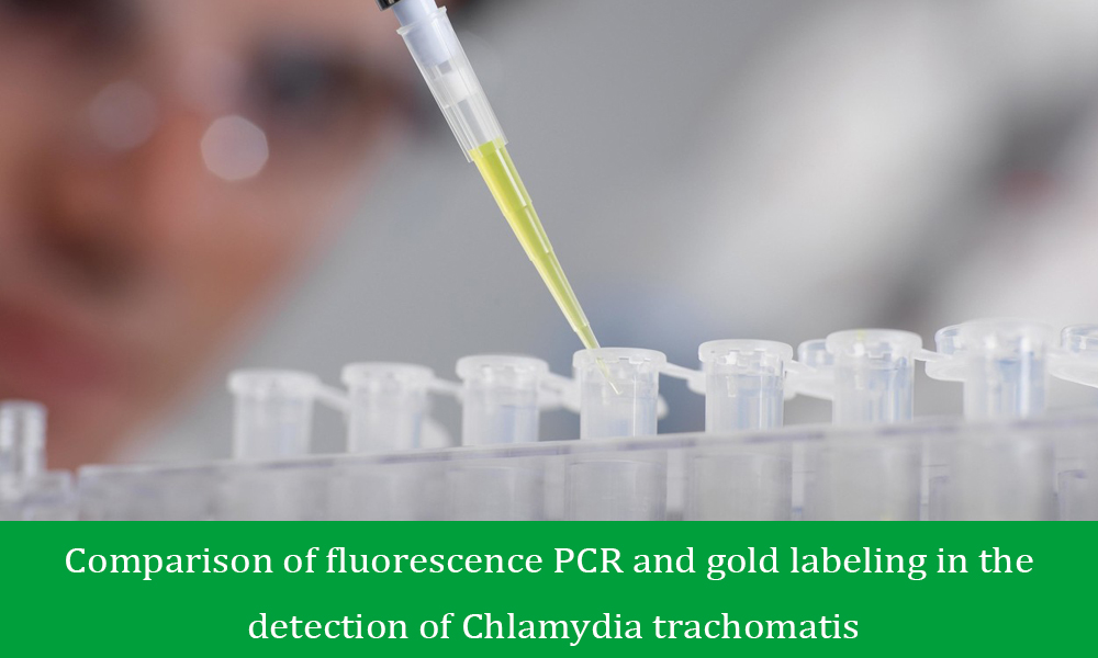 Comparison of fluorescence PCR and gold labeling in the detection of Chlamydia trachomatis