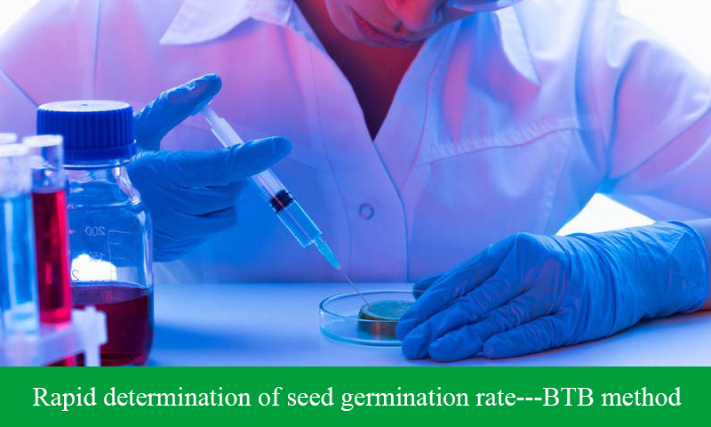Rapid determination of seed germination rate—BTB method