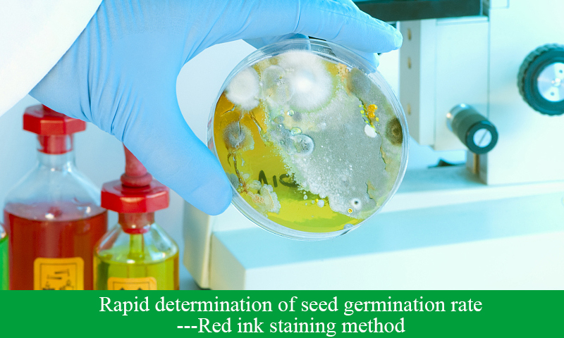 Rapid determination of seed germination rate—Red ink staining method