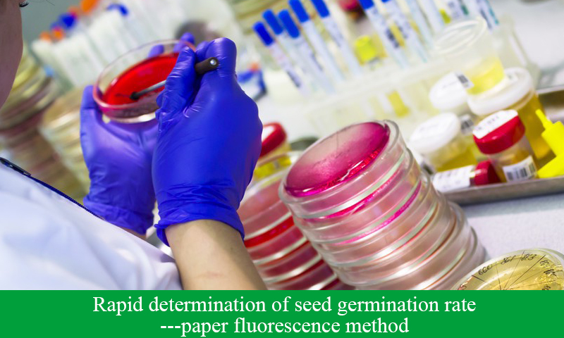 Rapid determination of seed germination rate—paper fluorescence method
