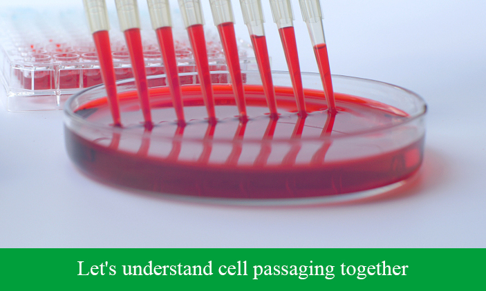 Let’s understand cell passaging together
