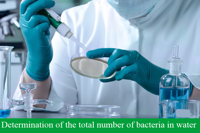 Determination of the total number of bacteria in water