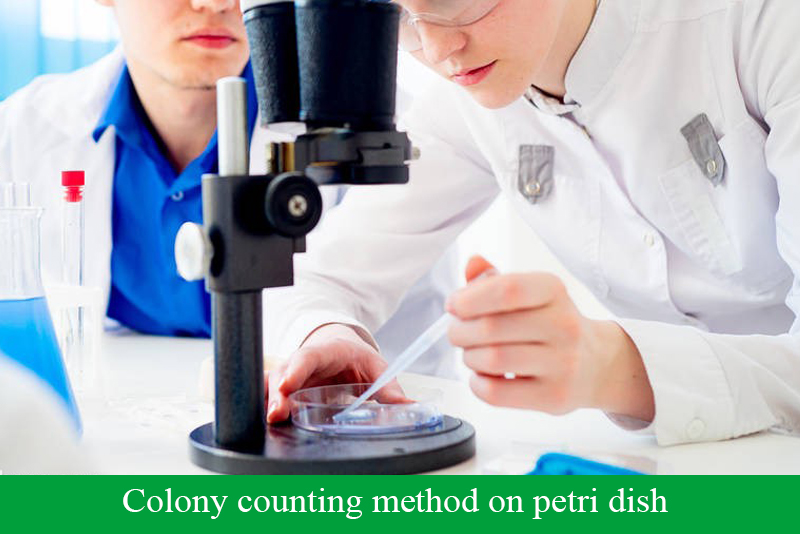 Colony counting method on petri dish