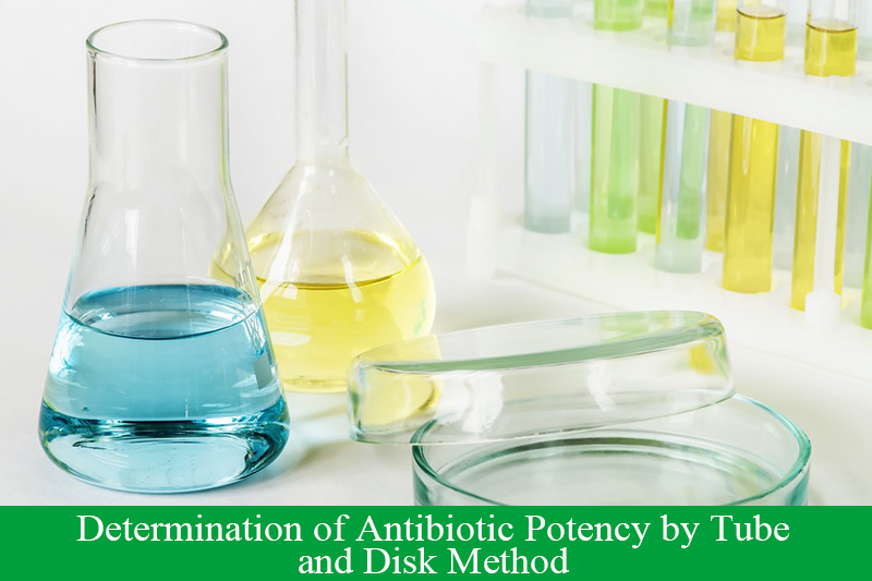 Determination of Antibiotic Potency by Tube and Disk Method