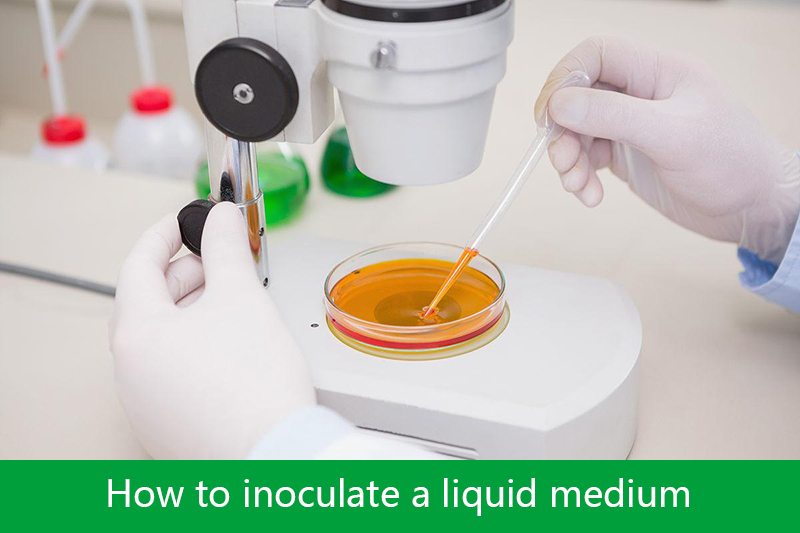 How to inoculate a liquid medium