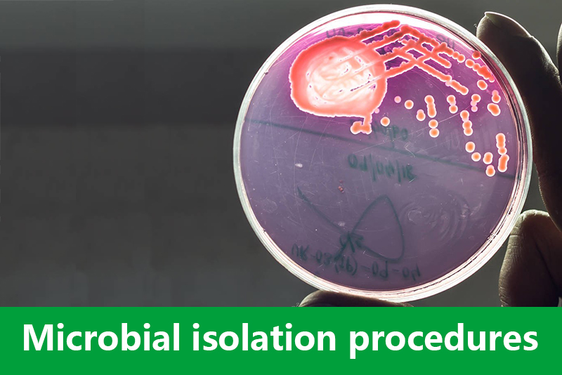 Microbial isolation procedures