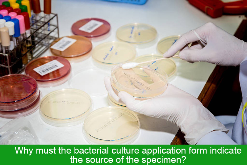 Why must the bacterial culture application form indicate the source of the specimen?