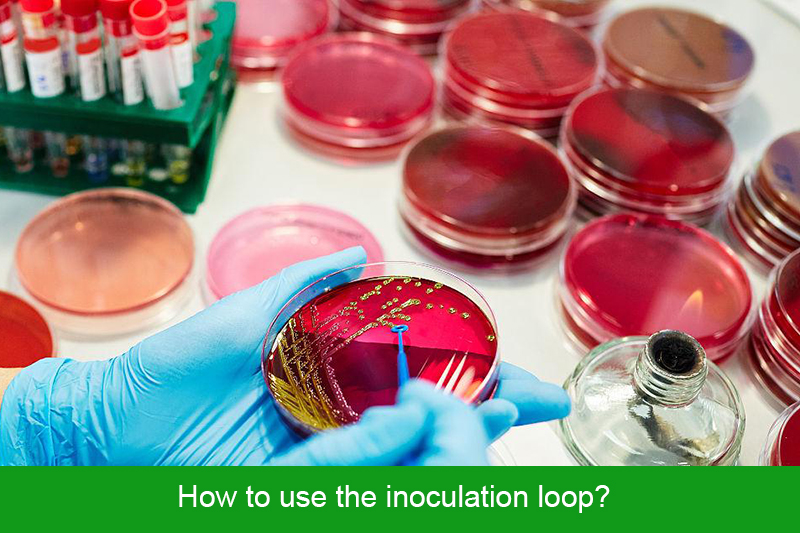 How to use the inoculation loop?