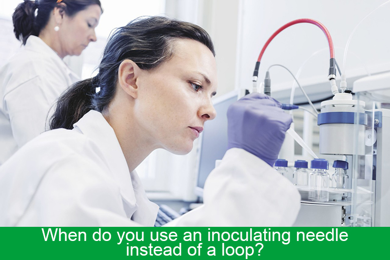 When do you use an inoculating needle instead of a loop?