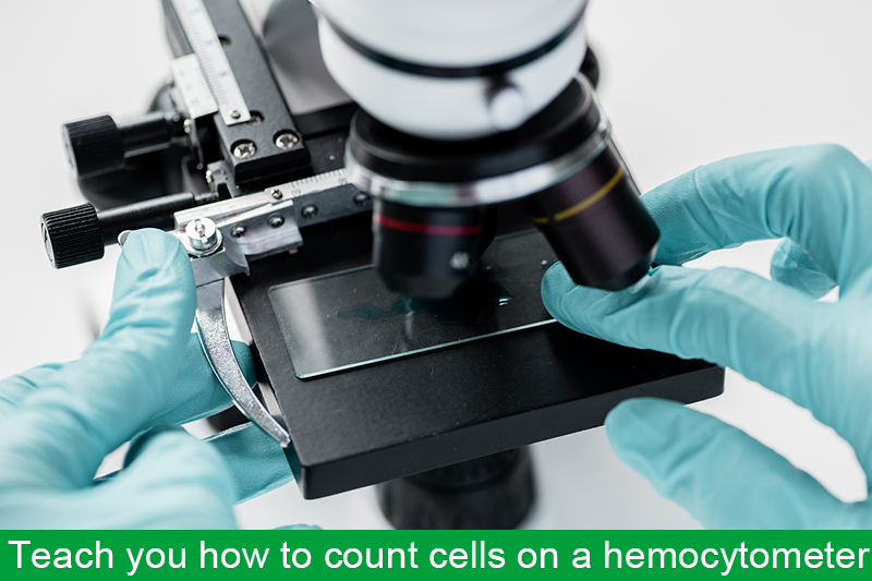 Teach you how to count cells on a hemocytometer