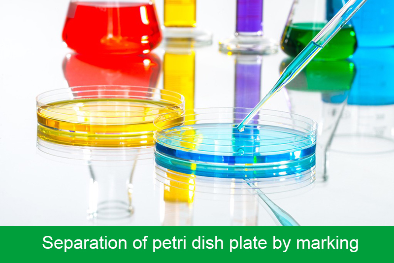Separation of petri dish plate by marking