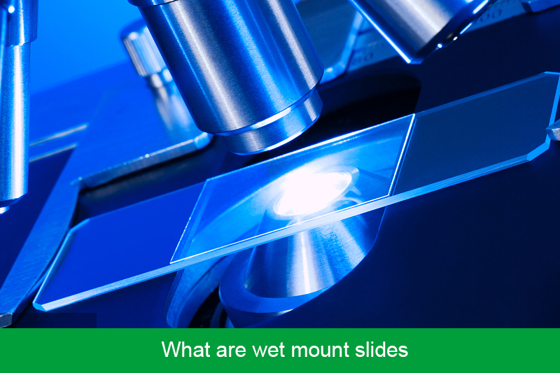 What are wet mount slides