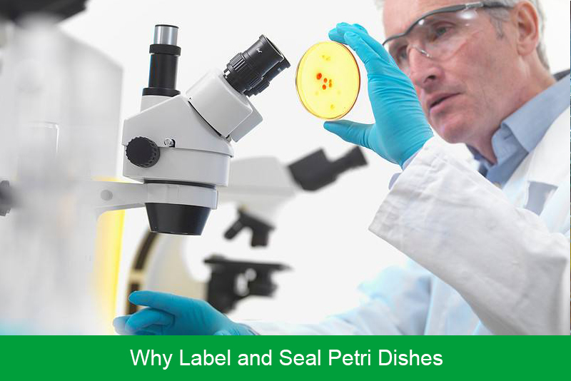 Why Label and Seal Petri Dishes