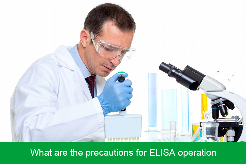 What are the precautions for ELISA operation