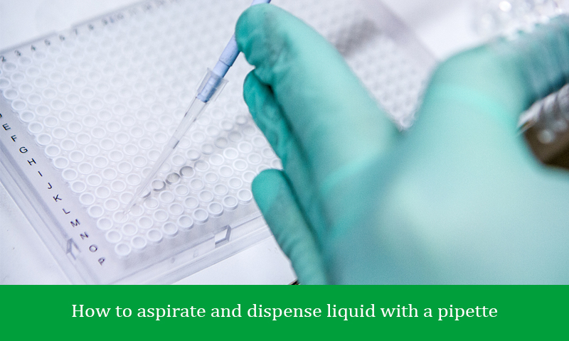 How to aspirate and dispense liquid with a pipette