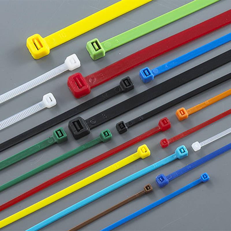 China Colorful Plastic Self-locking Nylon Cable Ties 4.8*200mm