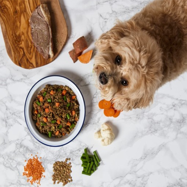 pet treats</br>Delicious and nutritious for pets