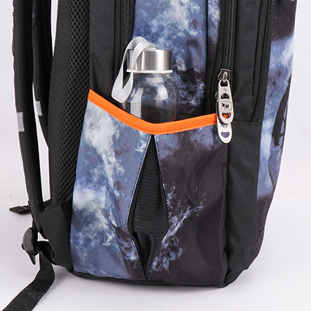 Teen-ager School Bag Senior Backpack for Boy (4)