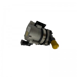 12v water pump electric water pump  for new energy vehicles circulating air conditioning system bus pumps