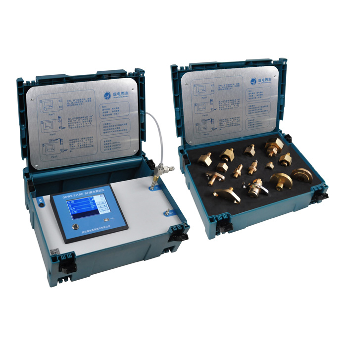 OEM Best Gas Detector Supplier Manufacturer –  GDWS-311RC SF6 Gas Dew Point Tester – HV Hipot