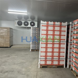 Salle d'entreposage frigorifique de fruits industriels pour ferme agricole