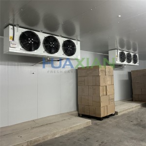 Industrial Fruit Cold Storage Room for Agricultural Farm