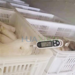 20mins Pre Cooled Vacuum Cooler Machine For Mushrooms